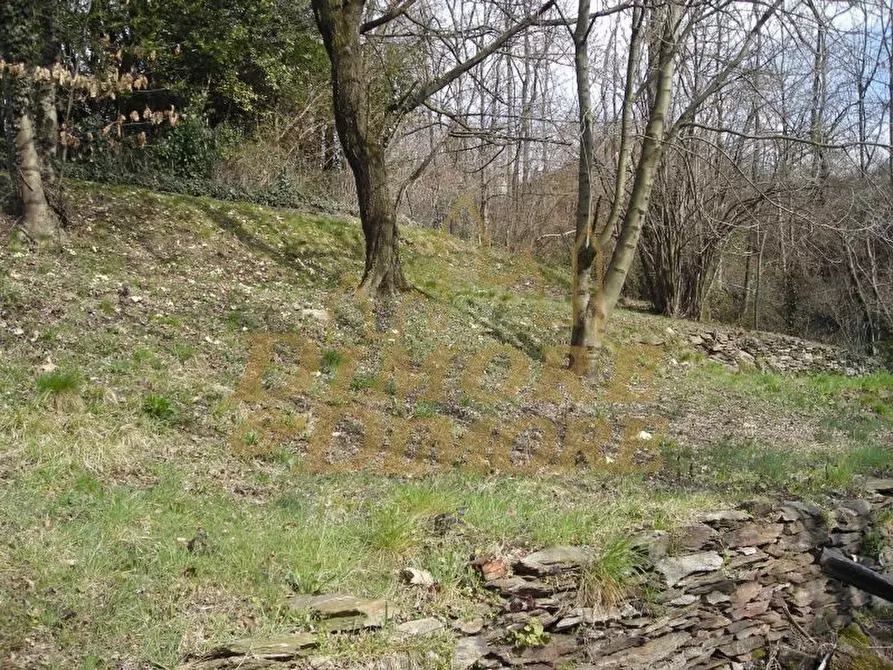 Immagine 32 di Rustico / casale in vendita  in via San Gaudenzio 14 a Verbania