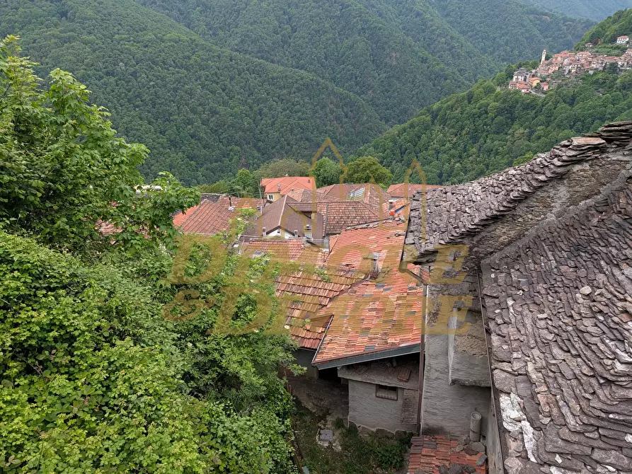 Immagine 2 di Casa indipendente in vendita  a Loreglia