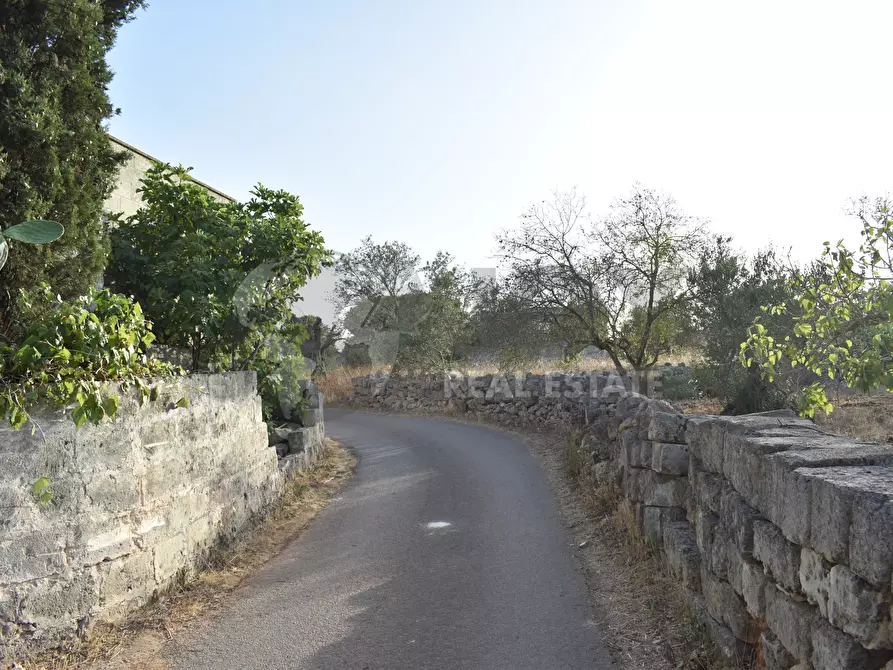 Immagine 24 di Villa in vendita  in Strada Comunale Castello Forcignano 26 a Galatone