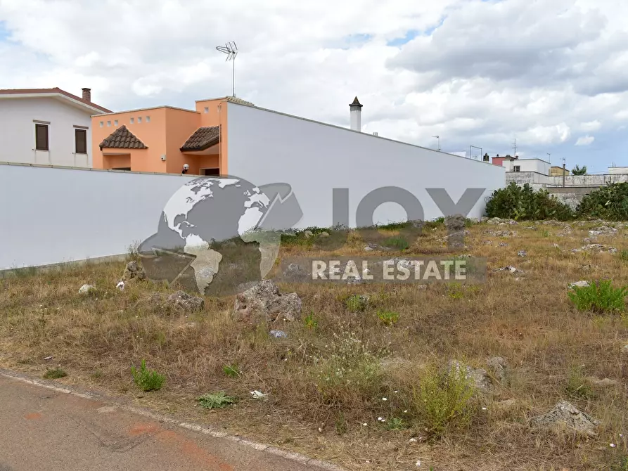 Immagine 9 di Terreno agricolo in vendita  in via morandi a San Donato Di Lecce