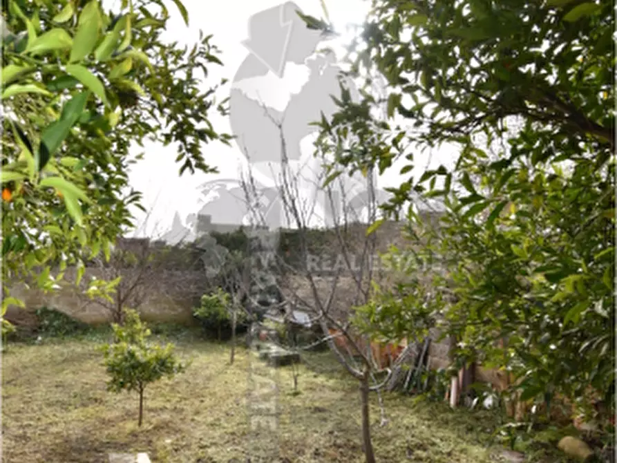 Immagine 59 di Casa indipendente in vendita  in Via Montello 28 a Zollino