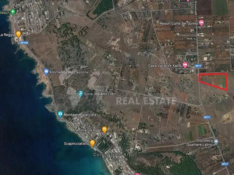 Immagine 4 di Terreno industriale in vendita  in Strada Provinciale 17 63 a Sannicola