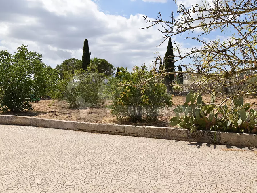 Immagine 23 di Villa in vendita  in Via Carlo Donat Cattin 63 a Specchia