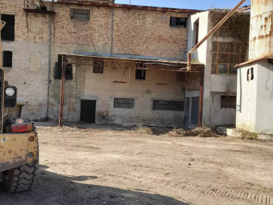 Immagine 30 di Attività artigianale in vendita  in C.DA PIANA LA BARCA a Paglieta