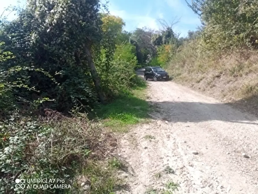 Immagine 8 di Porzione di casa in vendita  in LOC.POZZO a Paglieta