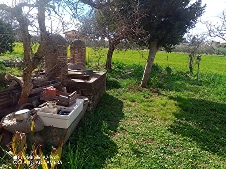 Immagine 12 di Terreno agricolo in vendita  a Fossacesia