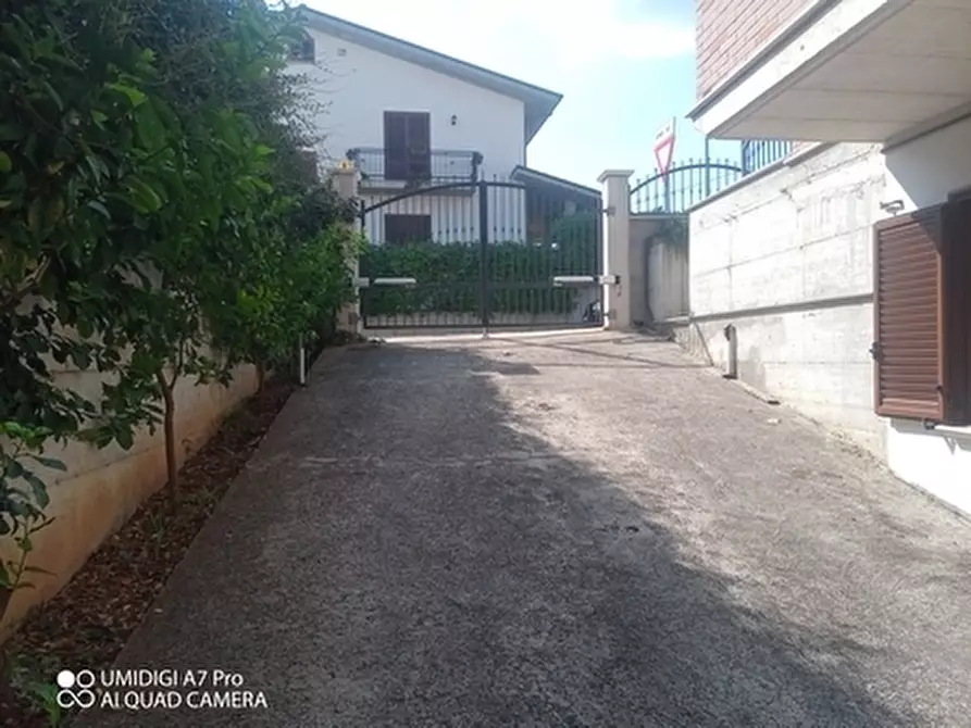 Immagine 6 di Villa in vendita  a Treglio