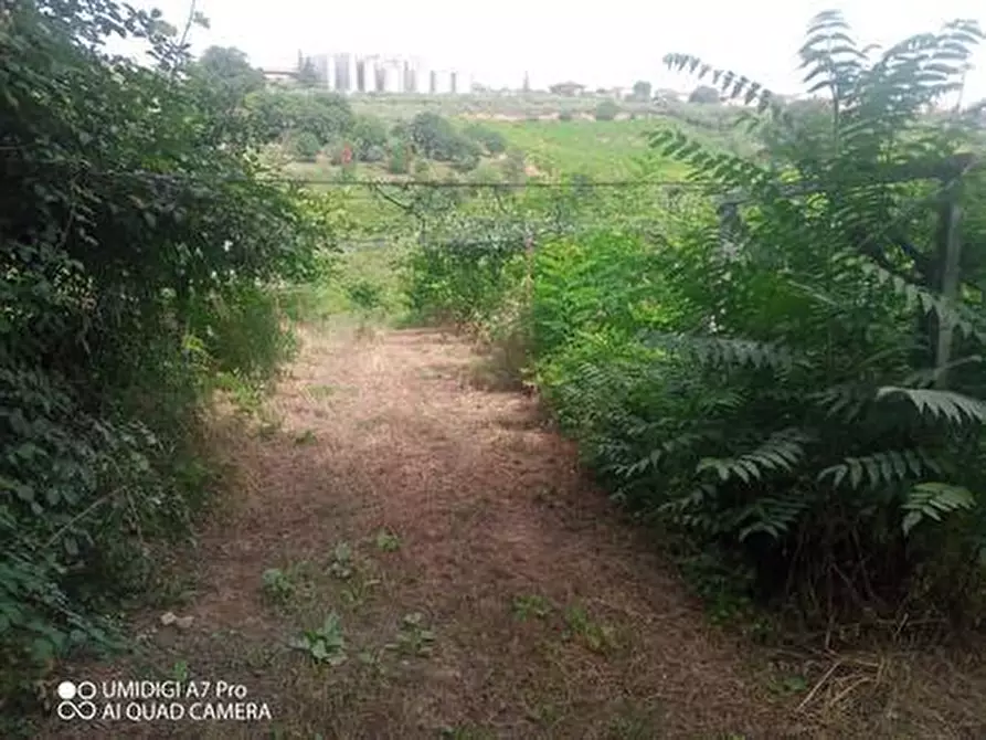 Immagine 17 di Terreno agricolo in vendita  in C.DA VILLA STANAZZO a Lanciano