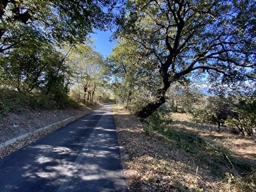 Immagine 7 di Porzione di casa in vendita  in CONTRADA PORRECHI a Castel Frentano