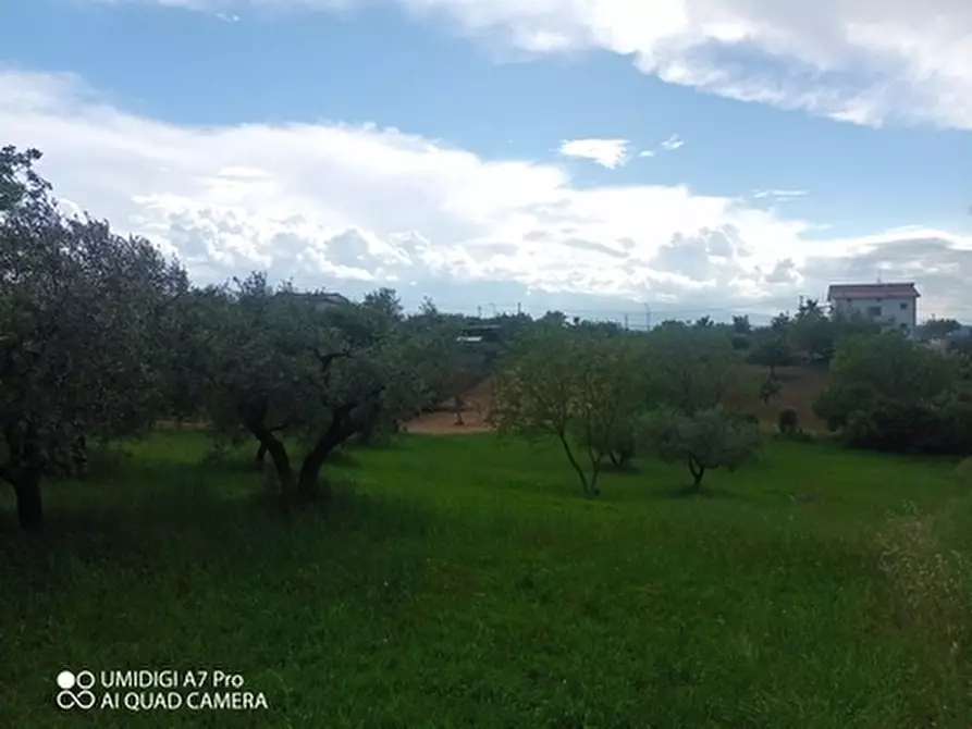Immagine 11 di Terreno agricolo in vendita  in CONTRADA MARCIANESE a Lanciano