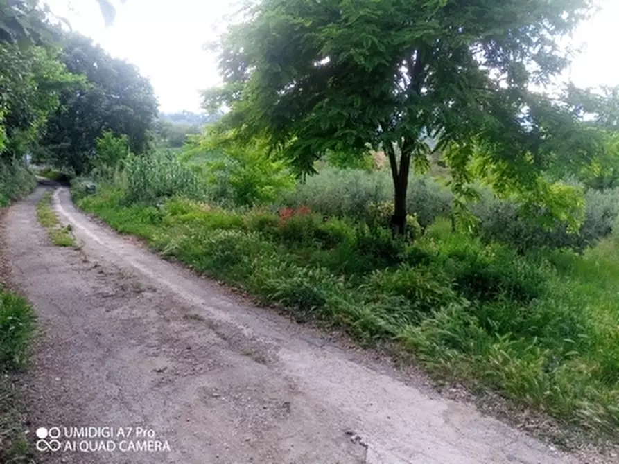 Immagine 15 di Terreno agricolo in vendita  in CONTRADA MARCIANESE a Lanciano