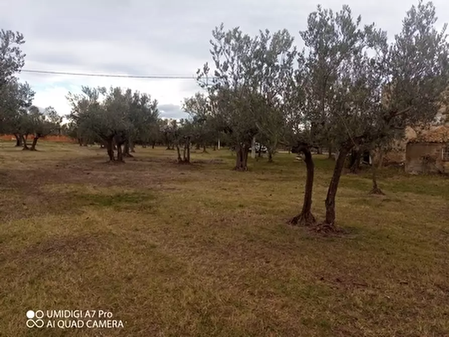 Immagine 13 di Rustico / casale in vendita  in VIA VECCHIA SCORCIOSA a Fossacesia