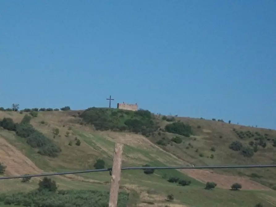 Immagine 14 di Terreno agricolo in vendita  in C.DA RIZZACORNO a Lanciano