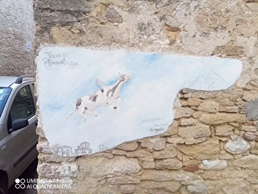 Immagine 13 di Porzione di casa in vendita  in VIA DEI SOSPIRI a Treglio