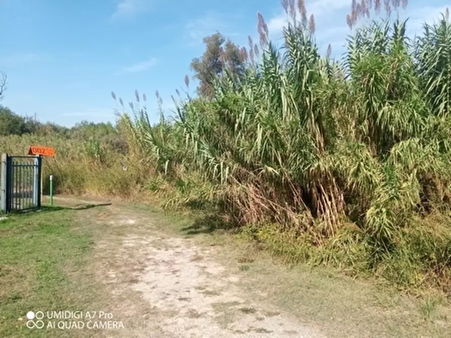 Immagine 5 di Terreno agricolo in vendita  in LOCALITA' SALETTI a Atessa