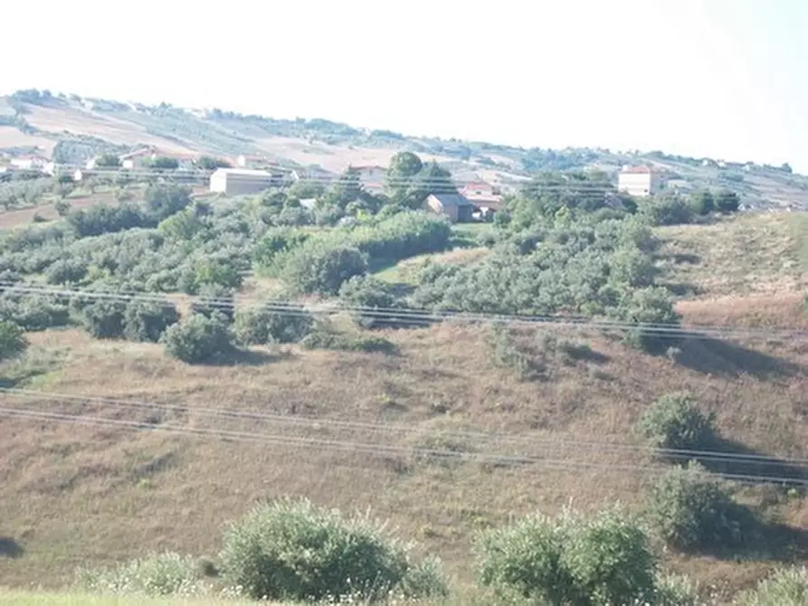 Immagine 20 di Terreno agricolo in vendita  in C.DA RIZZACORNO a Lanciano