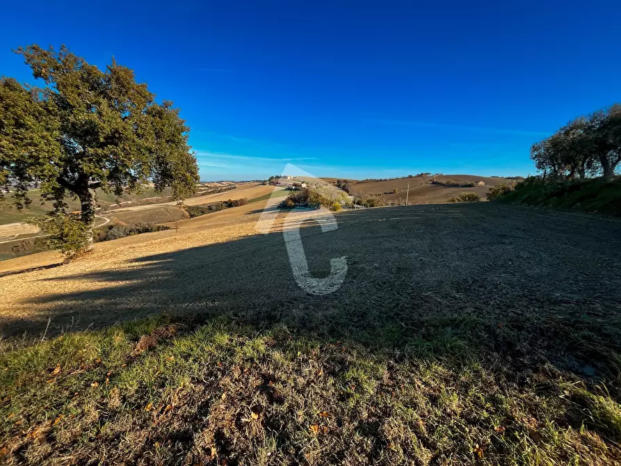 Immagine 39 di Casa indipendente in vendita  a Montecarotto