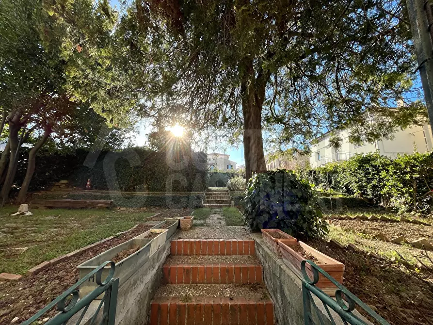 Immagine 3 di Appartamento in vendita  a Cupramontana