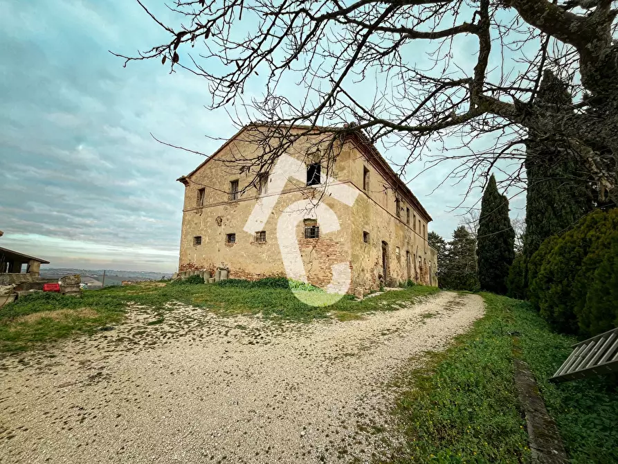 Immagine 4 di Terreno edificabile in vendita  a Jesi