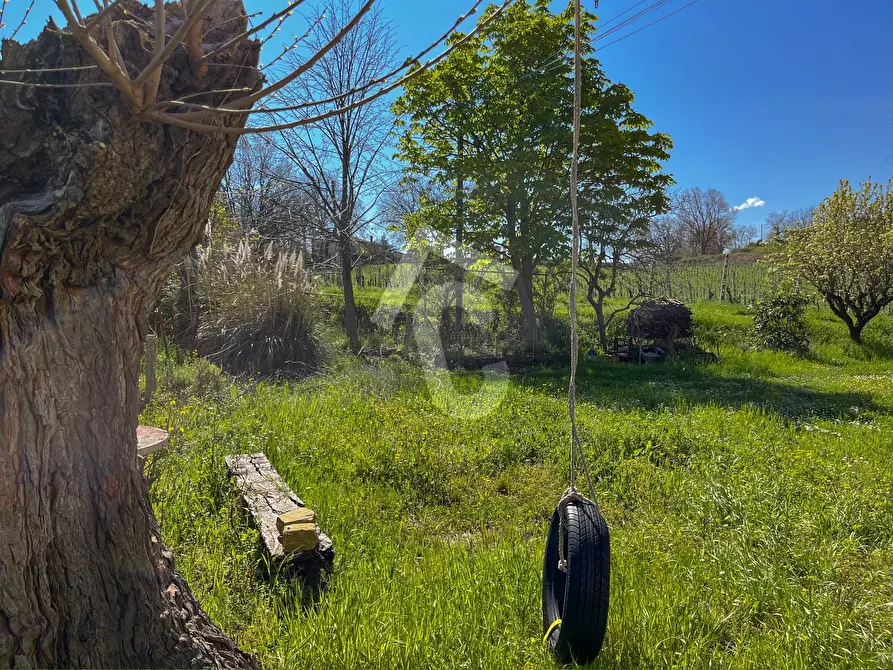 Immagine 15 di Rustico / casale in vendita  a Serra San Quirico