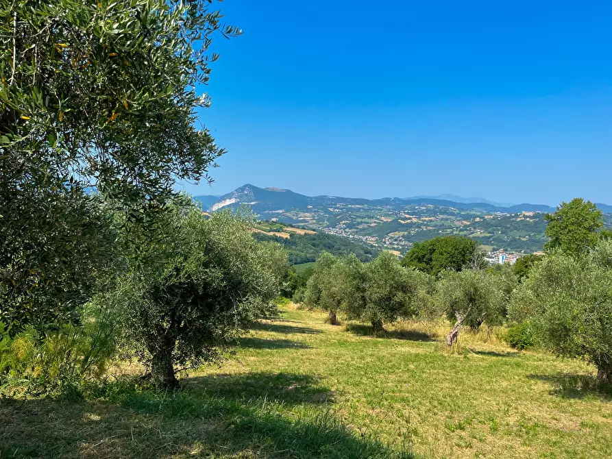 Immagine 33 di Rustico / casale in vendita  a Maiolati Spontini