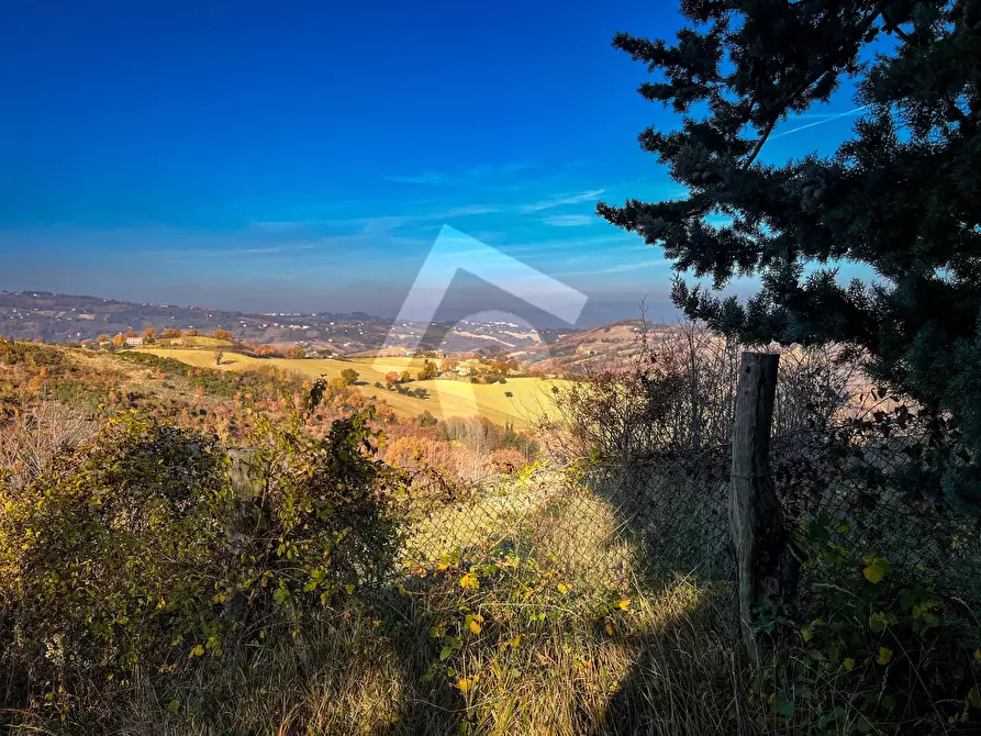 Immagine 8 di Rustico / casale in vendita  a Staffolo