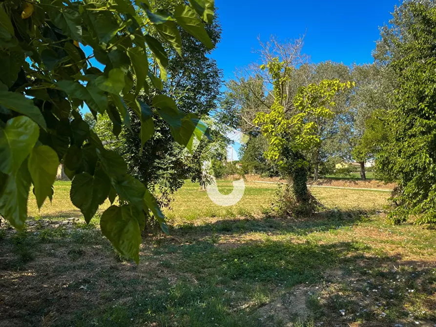 Immagine 8 di Rustico / casale in vendita  a Senigallia