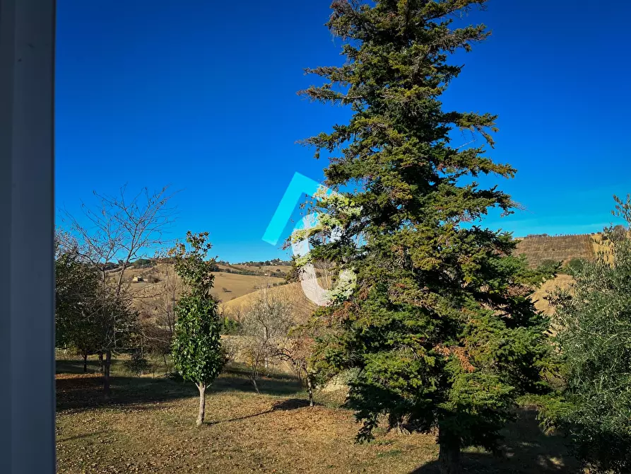 Immagine 37 di Rustico / casale in vendita  a Senigallia