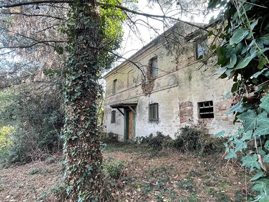 Immagine 2 di Casa bifamiliare in vendita  a Jesi