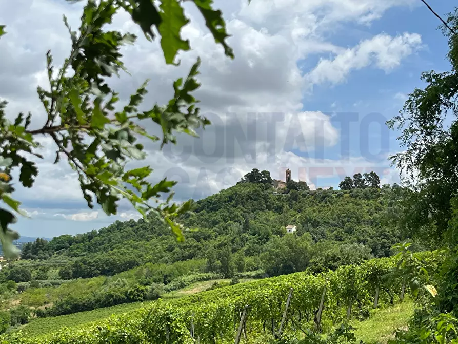 Immagine 21 di Rustico / casale in vendita  a Maiolati Spontini