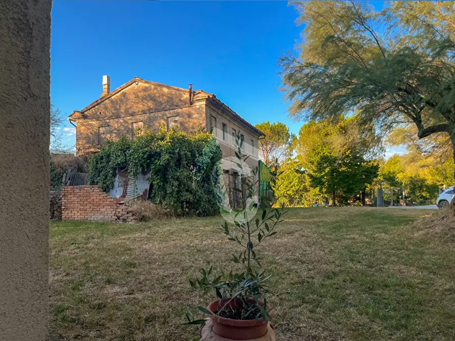 Immagine 22 di Rustico / casale in vendita  a Jesi