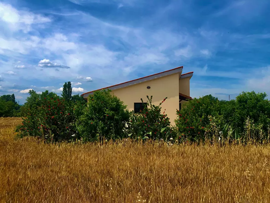 Immagine 4 di Terreno agricolo in vendita  a Jesi