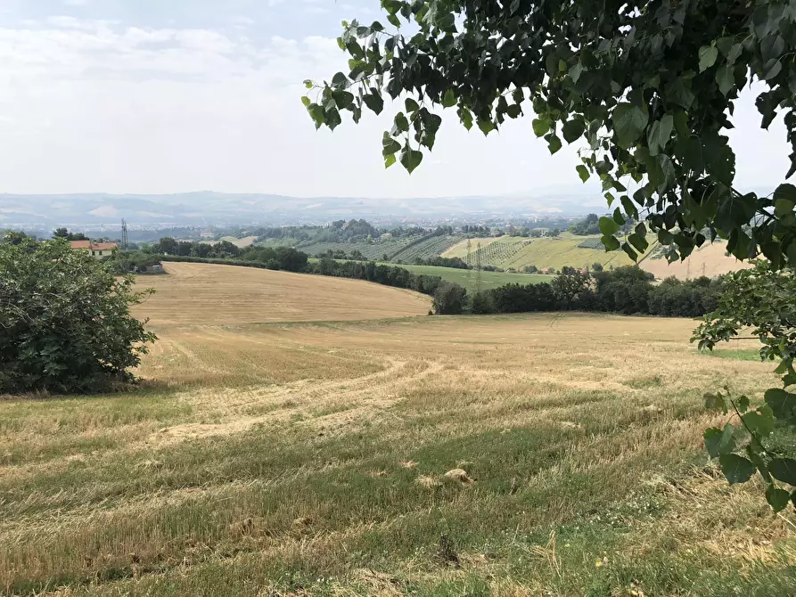 Immagine 6 di Terreno agricolo in vendita  a Jesi