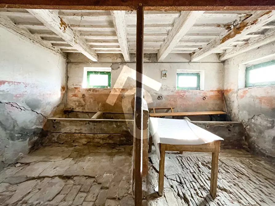 Immagine 19 di Rustico / casale in vendita  a Belvedere Ostrense