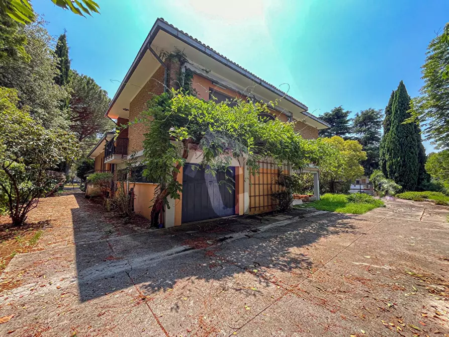 Immagine 7 di Villa in vendita  a Jesi