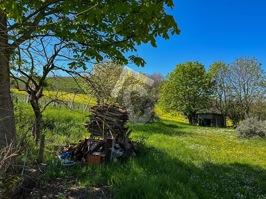 Immagine 9 di Rustico / casale in vendita  a Serra San Quirico