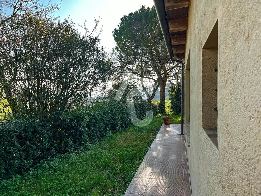 Immagine 38 di Rustico / casale in vendita  a Jesi