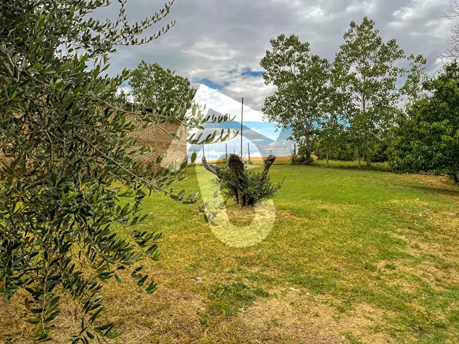 Immagine 15 di Casa indipendente in vendita  a Jesi