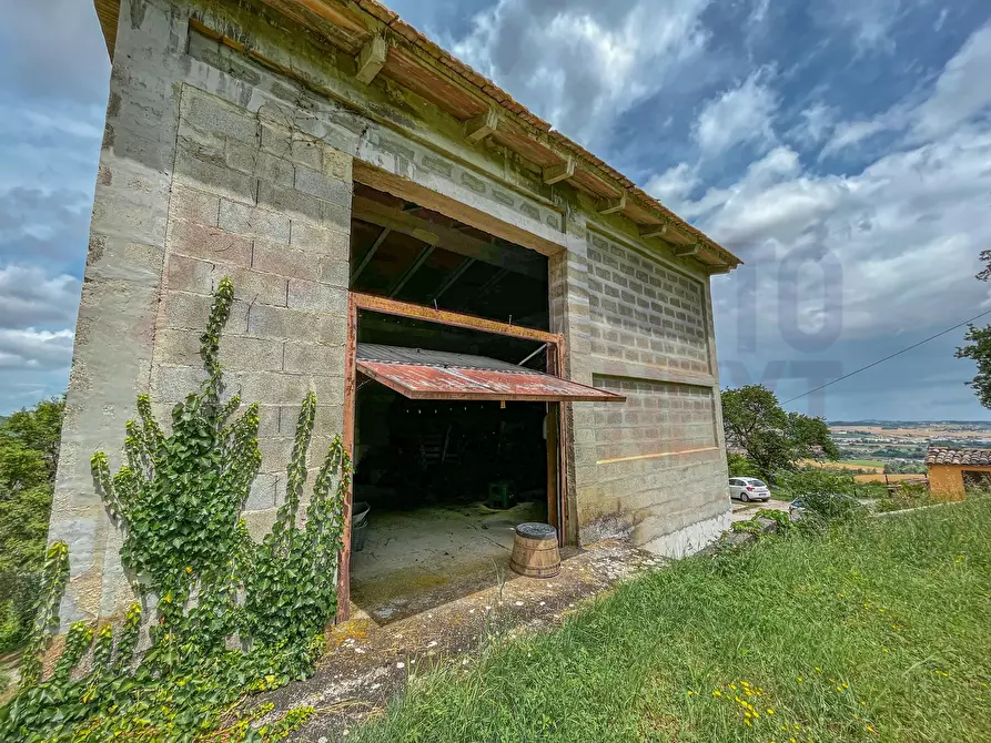 Immagine 26 di Rustico / casale in vendita  a Maiolati Spontini