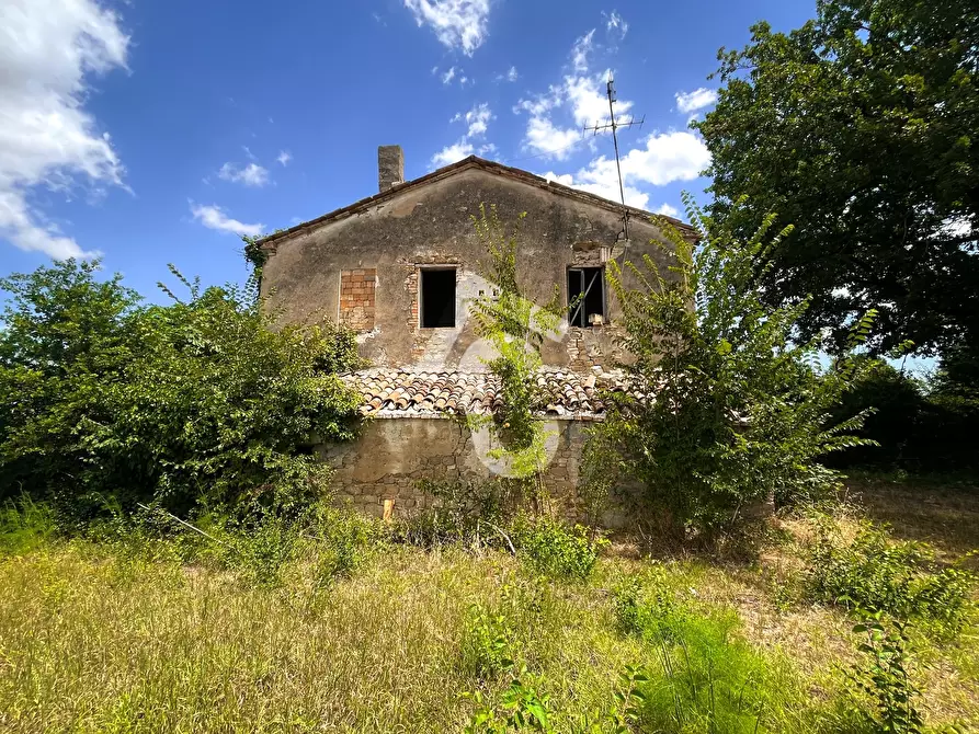 Immagine 8 di Rustico / casale in vendita  a Monte Roberto