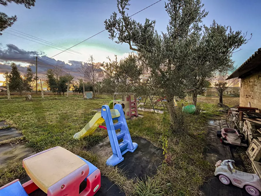 Immagine 20 di Rustico / casale in vendita  a Monsano