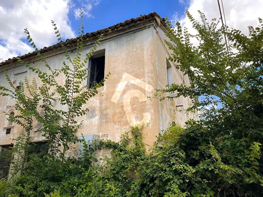 Immagine 9 di Rustico / casale in vendita  a Monte Roberto