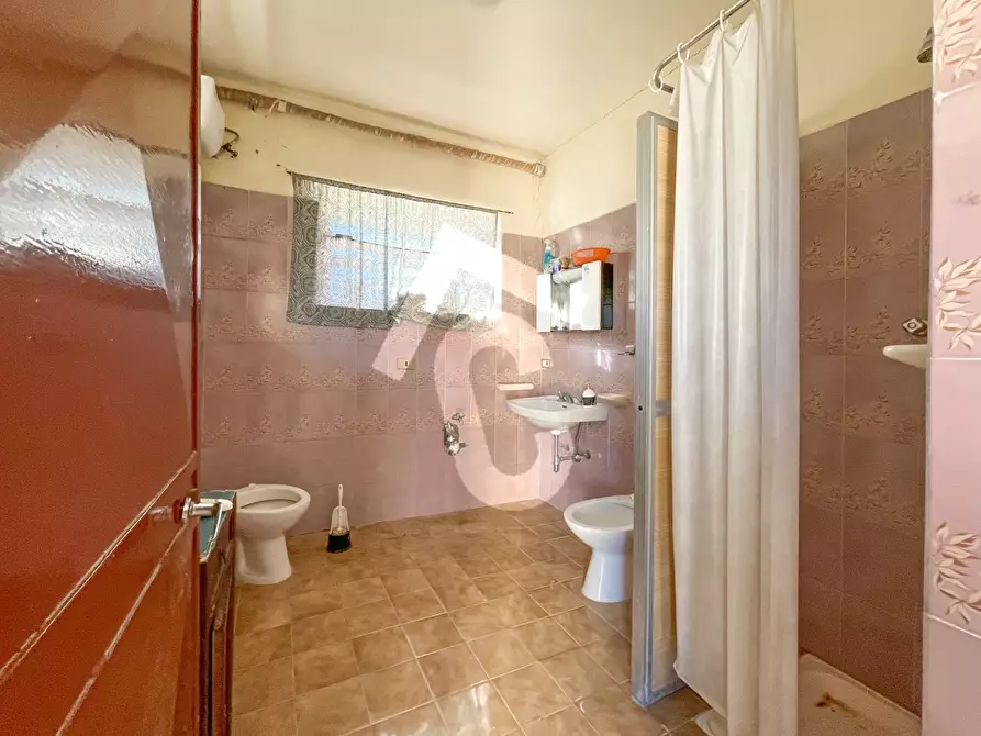 Immagine 51 di Rustico / casale in vendita  a Staffolo