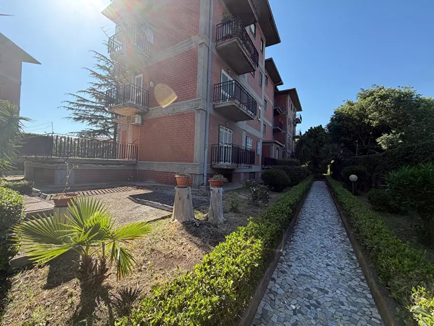 Immagine 22 di Appartamento in vendita  a Gravina Di Catania