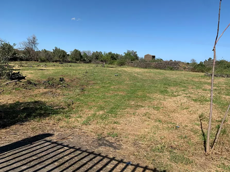 Immagine 7 di Terreno agricolo in vendita  a Tremestieri Etneo