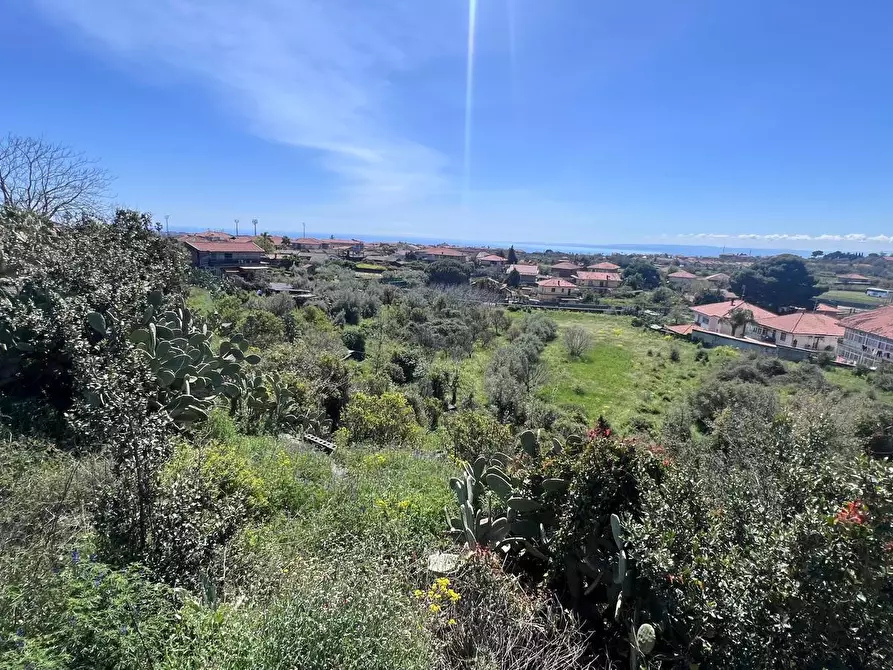 Immagine 8 di Terreno agricolo in vendita  a Tremestieri Etneo