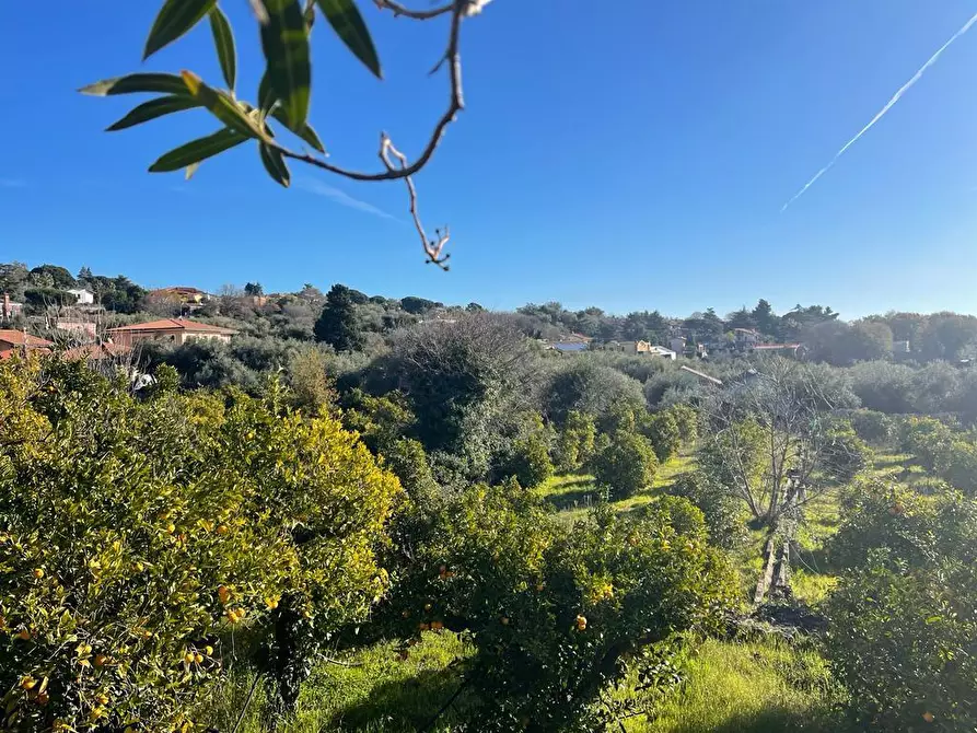 Immagine 5 di Terreno industriale in vendita  a Trecastagni