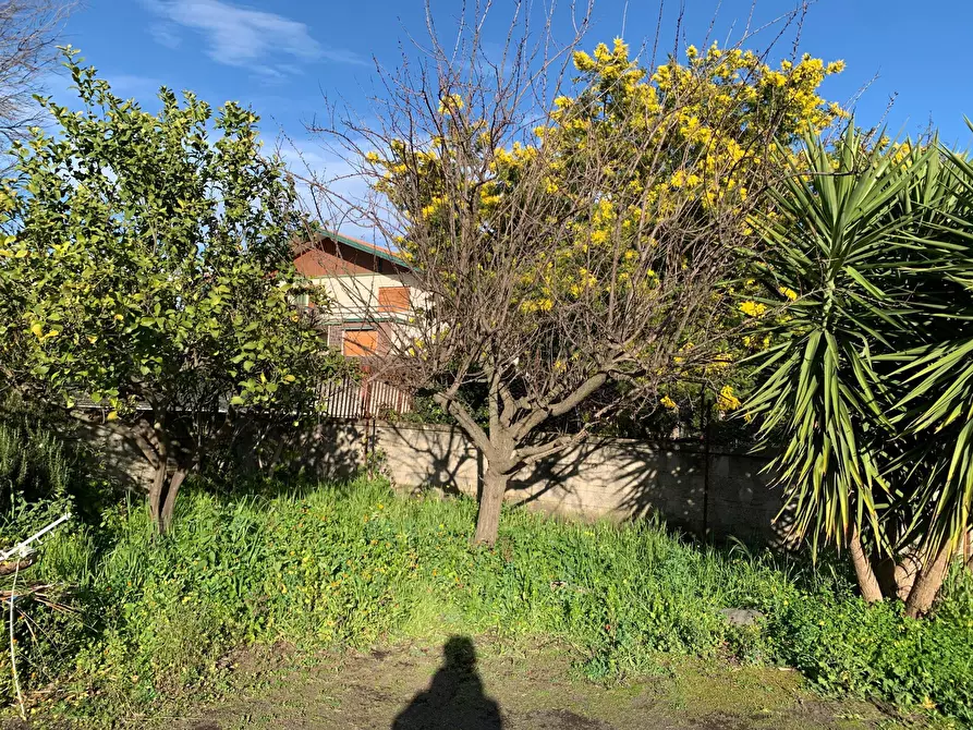 Immagine 27 di Villa in vendita  a Mascalucia