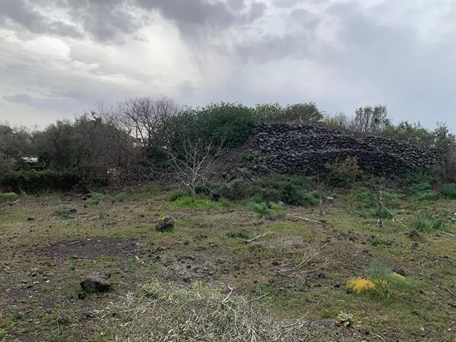 Immagine 15 di Terreno agricolo in vendita  a Pedara