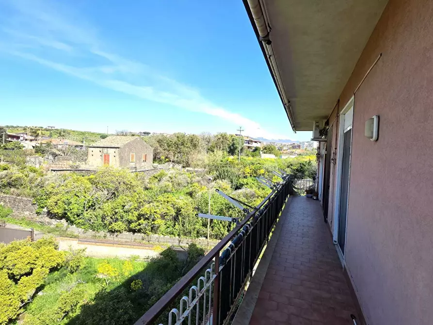 Immagine 15 di Appartamento in vendita  a Gravina Di Catania